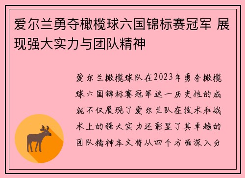 爱尔兰勇夺橄榄球六国锦标赛冠军 展现强大实力与团队精神
